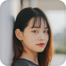 Developer